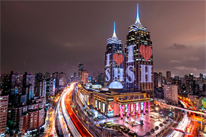 如何实现上海的收入多元化？